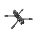 fpv1